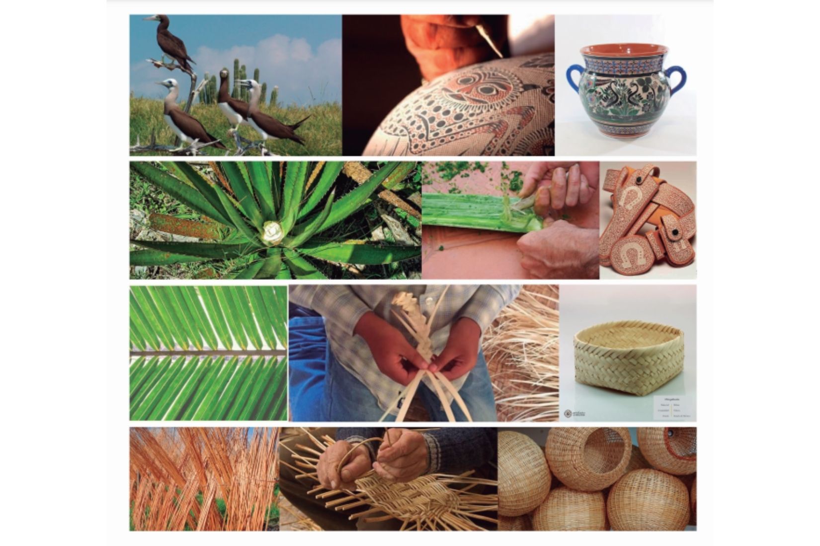 Collage de procesos artesanales utilizando elementos naturales.