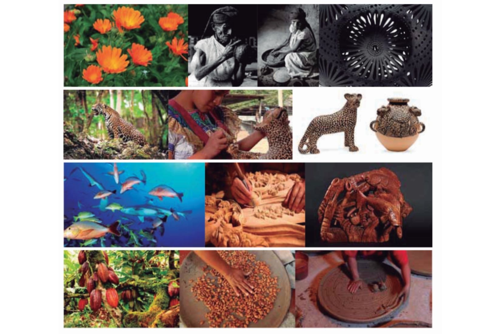 Collage de procesos artesanales utilizando elementos naturales.