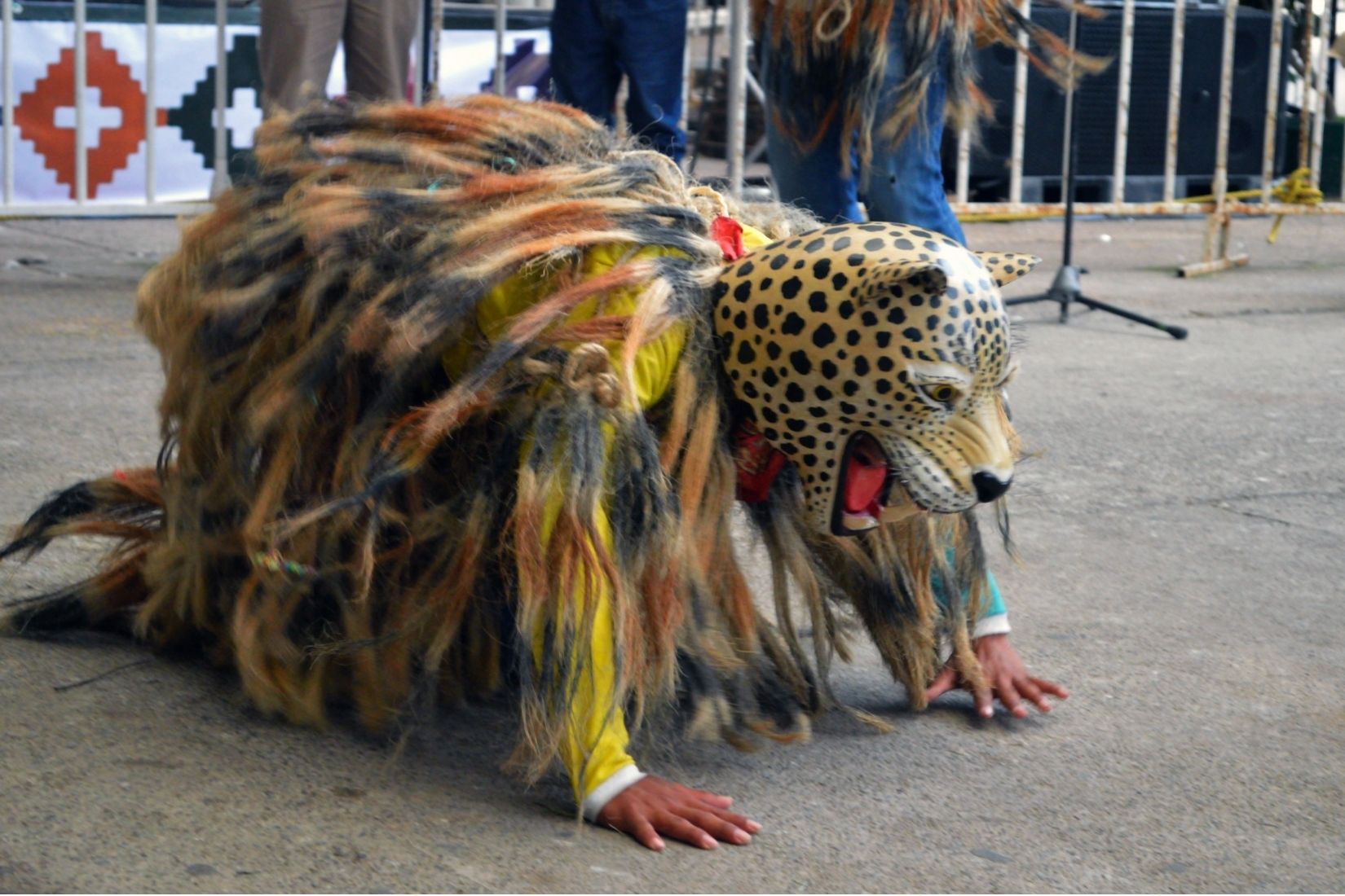Indumentaria para la Danza del Tigre o Jaguar, zoques de Tuxtla Gutiérrez, Chis. D.R. Sergio Luis Contreras, 2014, Fototeca Nacho López, INPI.
