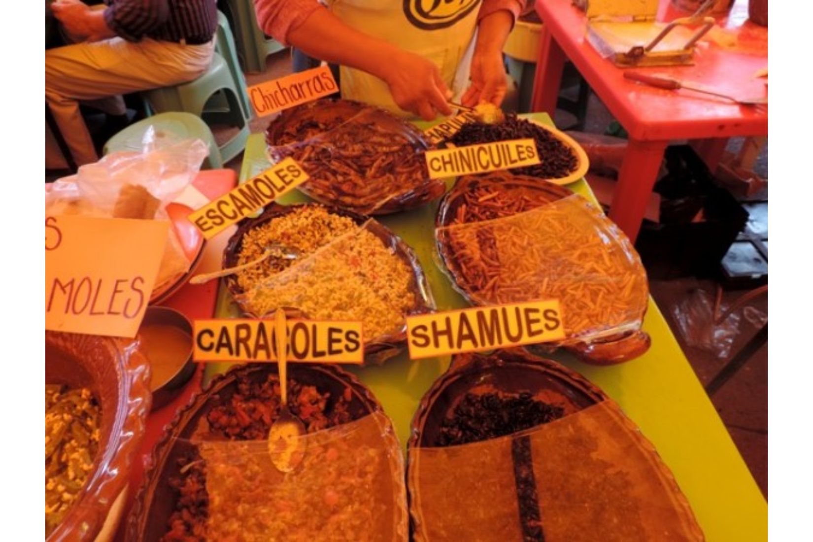 Cada primer sábado de abril, en Santiago de Anaya, cerca de Actopan, se lleva a cabo una feria gastronómica otomí con animales silvestres como zorrillos, escarabajos, lagartijas, etcétera