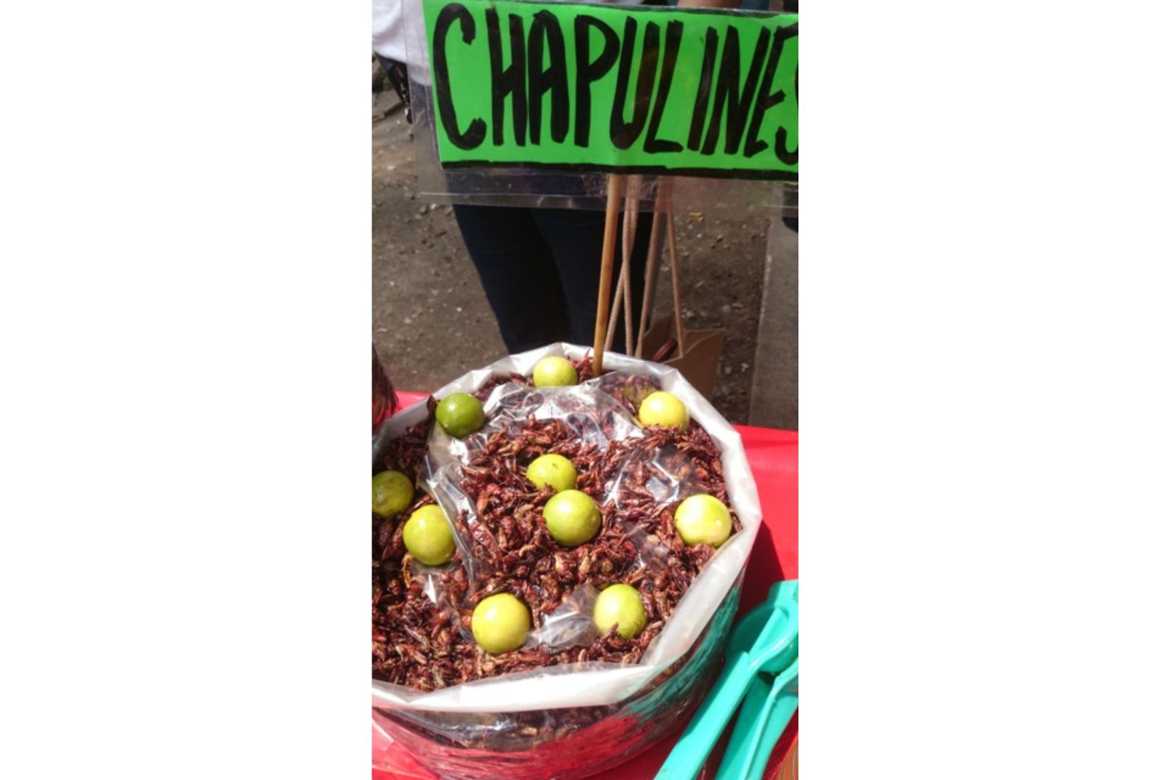 Tacos de chapulines. Son característicos de Oaxaca, aunque también los comen en otros estados cercanos