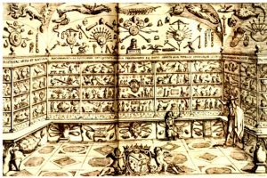 Museo Cospiano, grabado, 1667. El Gabinete de curiosidades naturales del marqués Ferdinando Cospi (1606-1686) incluía especímenes naturales, así como especímenes artificiales que representaban animales ficticios, como un pez alado y un hipocampo, mitad caballo, mitad pez. Un busto de Dante Alighieri ocupaba un lugar central en la colección. Debajo y a su derecha se encuentra el enano Sebastiano Biavati, miembro vivo de la colección, también él, mientras que el propio marqués Cospi se encuentra de pie a la derecha, señalando el conjunto...